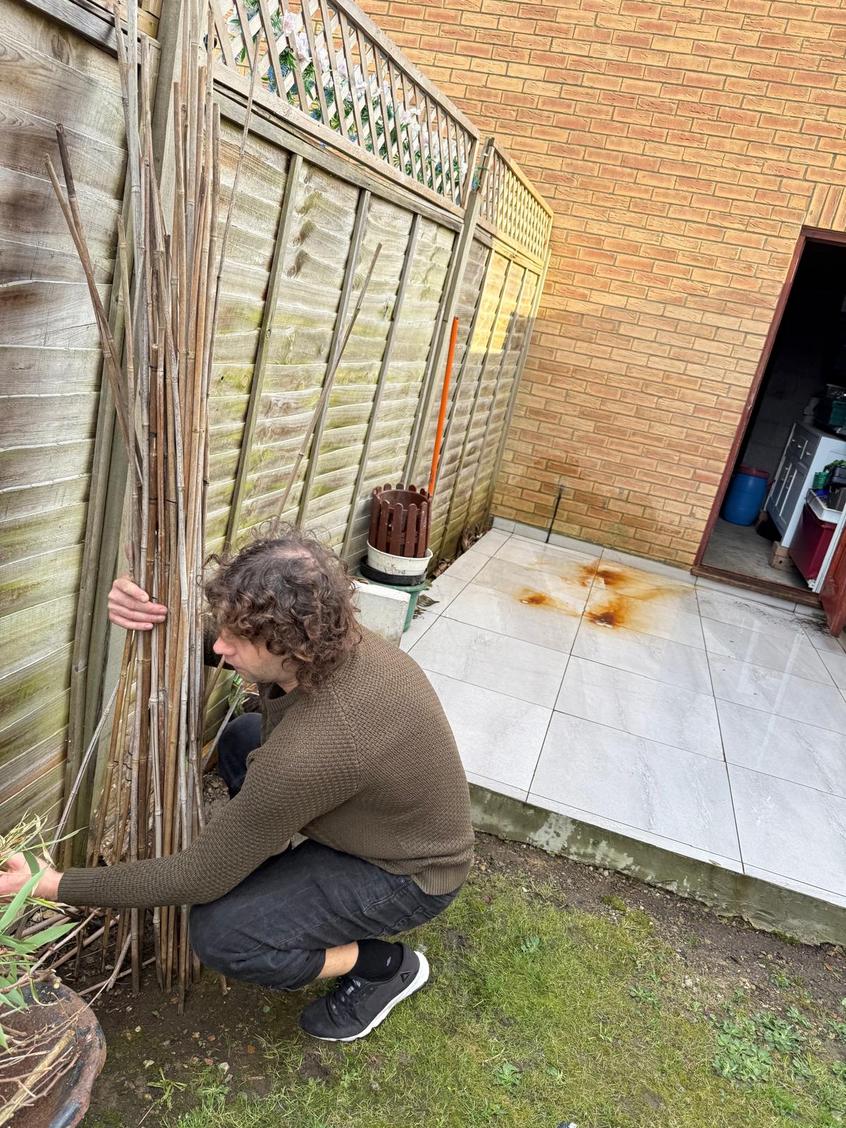 Gathering canes and garden debris beside a fence